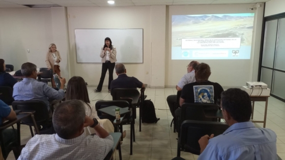 Panel de expertos en el marco del Estudio de Gestión del Impacto Acumulativo Integral de la actividad minera en río Los Patos