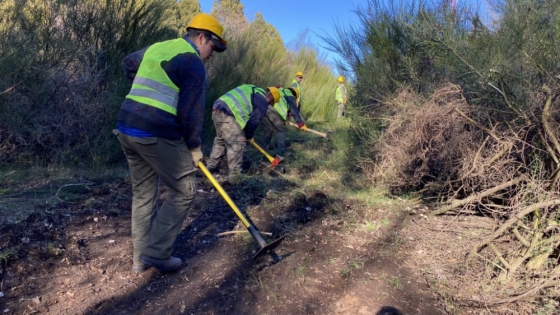 Construyendo puentes en la Patagonia: el trabajo de una fundación para unir comunidades y preservar el ambiente