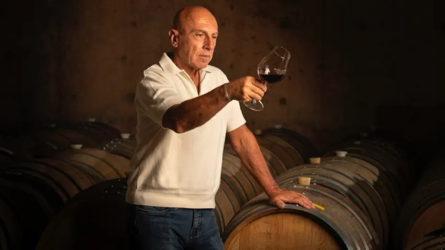 De la industria automotriz al vino premium: la apuesta de Alberto Budetta en el Valle de Uco