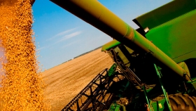 Productores demoran ventas de soja por más de u$s10.000 millones