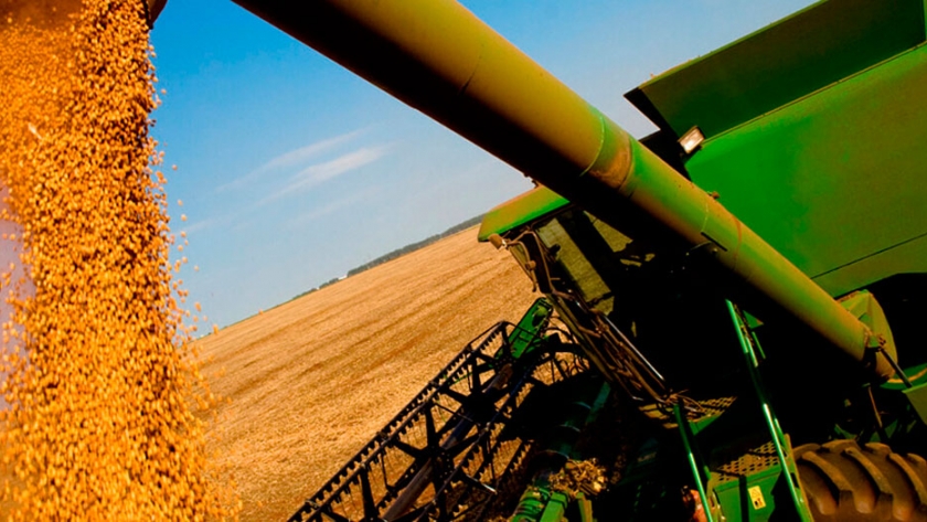 Productores demoran ventas de soja por más de u$s10.000 millones