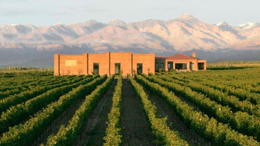 Bodegas apuestan por la tecnología para defenderse del cambio climático y la falta de mano de obra