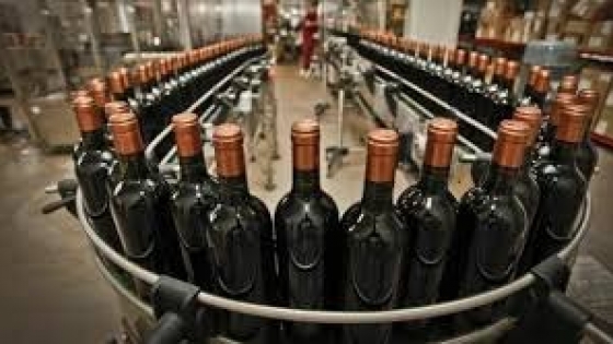 El vino argentino pierde participación global y enfrenta el desafío de recuperar mercados y valor
