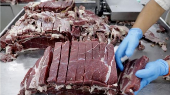 China y Brasil lanzan plan piloto de trazabilidad de carne vacuna para promover la sostenibilidad