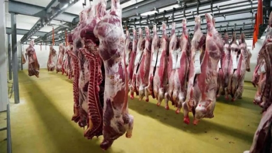 Carne vacuna: récord histórico de exportaciones