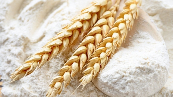 Los consumidores podrán conocer y acceder a la información sobre el origen sustentable de los cultivos de trigo utilizados para su producción a través de un código QR en paquetes de harina.