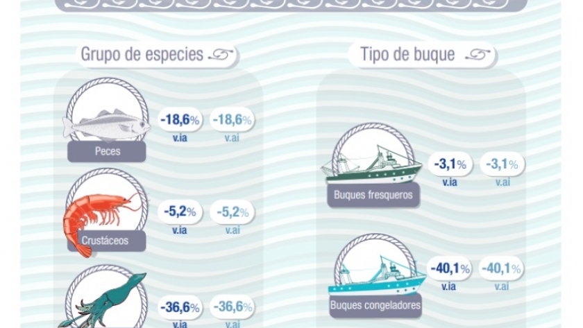 Arrancó el 2024, según el Índice de Producción Industrial Pesquero, la actividad cayó el 17.2%. Es dato oficial del INDEC