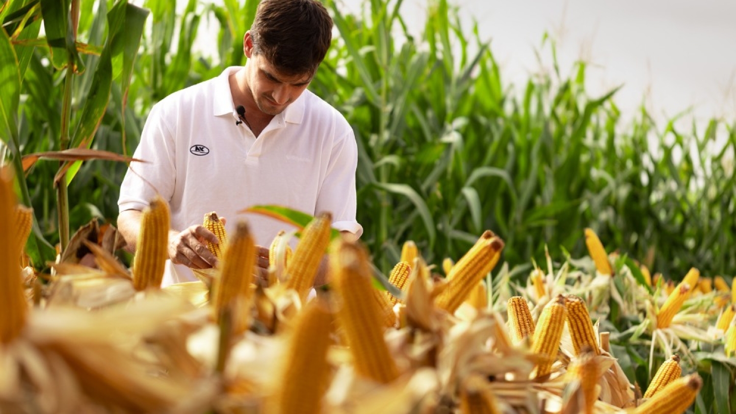 Historias reales de productores, a la pantalla: NK lanza su docu-reality el 