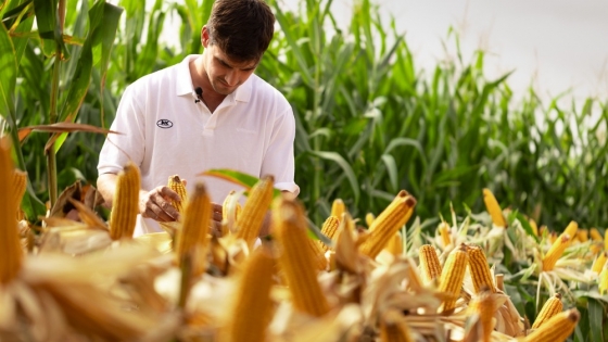 Historias reales de productores, a la pantalla: NK lanza su docu-reality el 