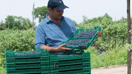 “Nuestra empresa nació con el chip de certificar los procesos”, dice desde Tucumán, Francisco Estrada sobre la producción frutícola