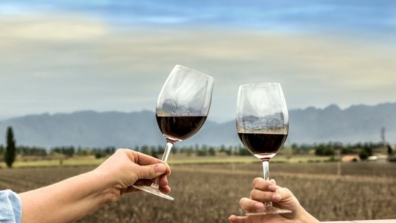 Degustación histórica en San Juan reunirá a los principales viticultores de la provincia