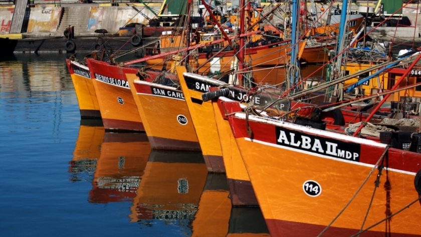 Mar del Plata: más de 50 buques serán parte de la zafra de langostino