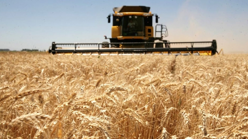 La inversión del agro se redujo 65% en 2019