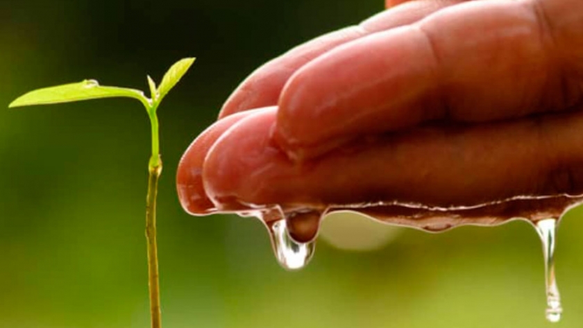 Día mundial del agua, un recurso crítico y estratégico al que cuidar