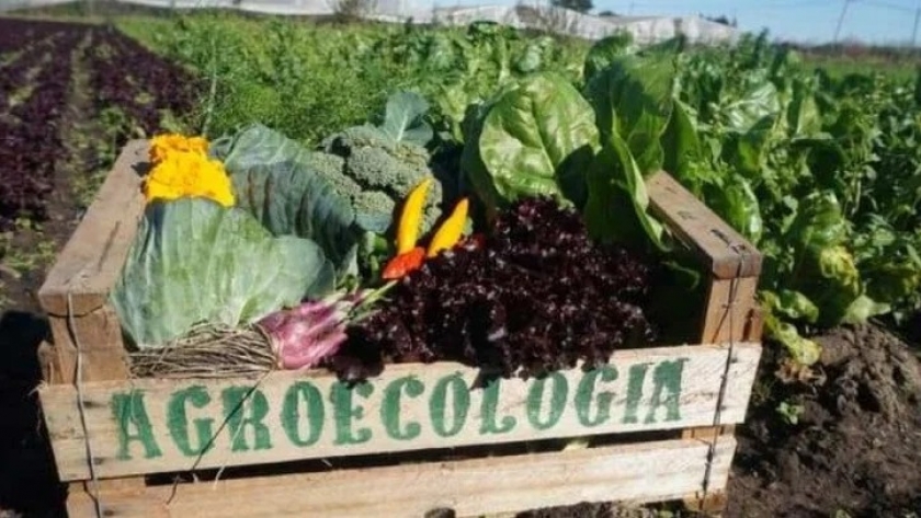 Mendoza: llega el Primer Foro Agroindustrial Pyme
