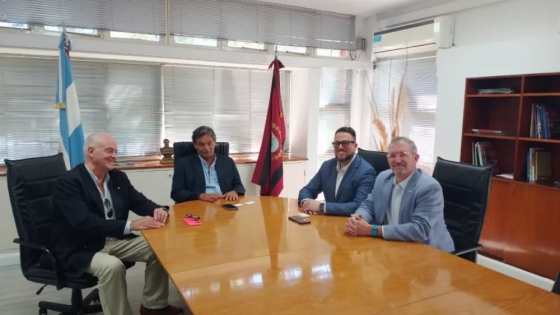 Salta avanza con inversores globales por minería estratégica