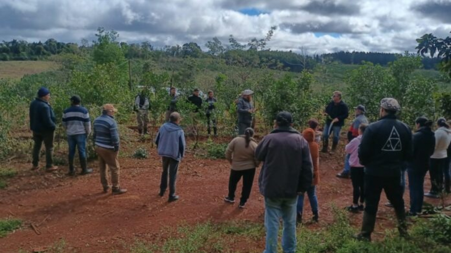 INTA y Vida Silvestre impulsan la restauración en Misiones