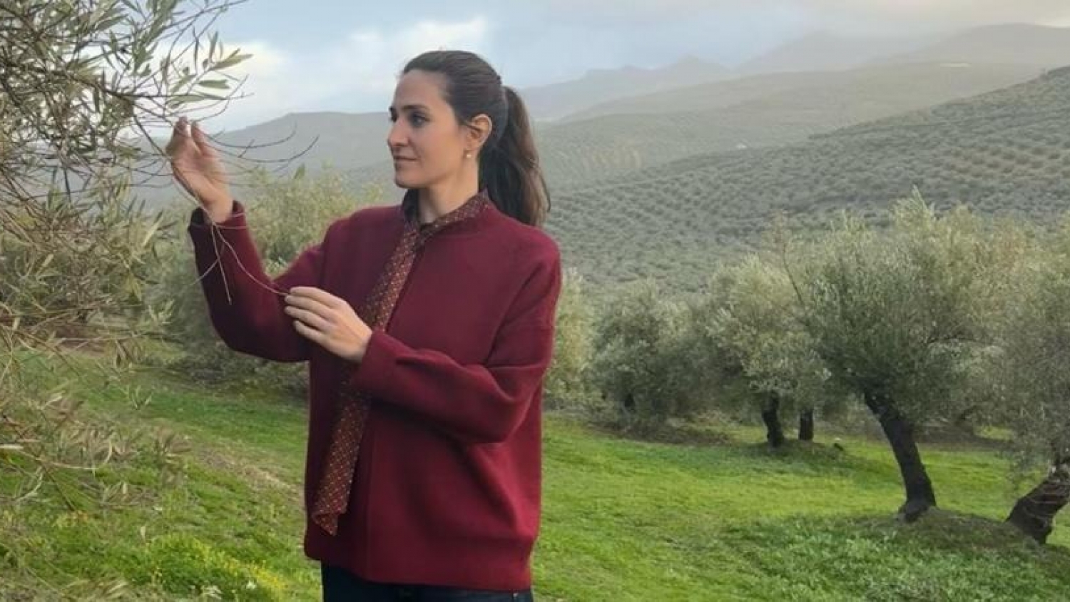 Del campo a la alta gama: el aceite que apuesta a la calidad