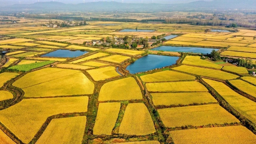 China tiene como objetivo mejorar las tierras agrícolas del tamaño de la República de Irlanda
