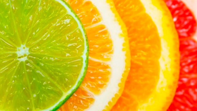 Exportaciones de cítricos sudafricanos deberían alcanzar niveles récord en 2020