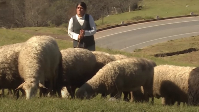 Paz: "El Senasa acompaña y reconoce el rol estratégico de la Agricultura Familiar"