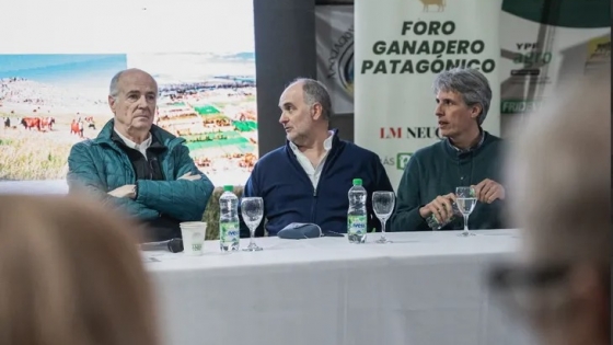 Viedma: Qué claves dejó el Foro Ganadero Patagónico