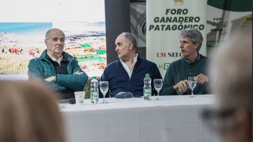 Viedma: Qué claves dejó el Foro Ganadero Patagónico