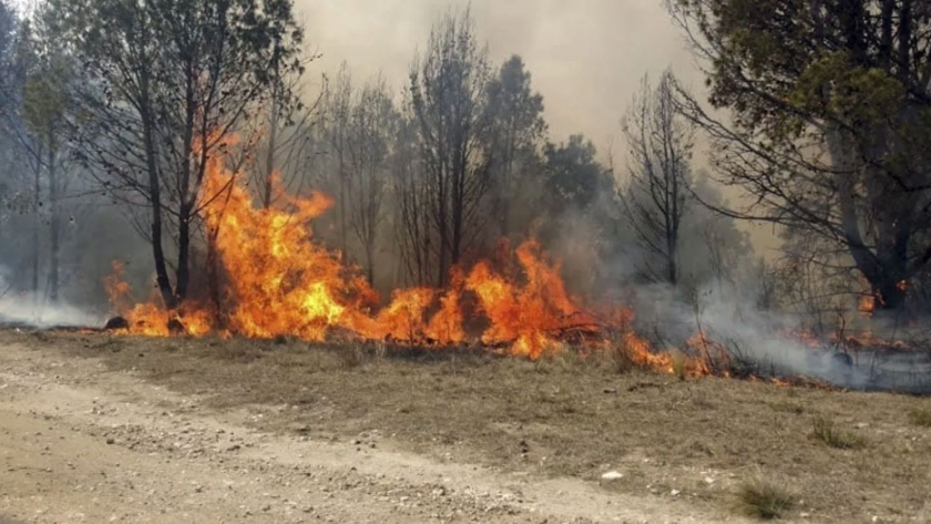 Incendios forestales: los cuerpos de brigadistas trabajarán a través de helipuntos