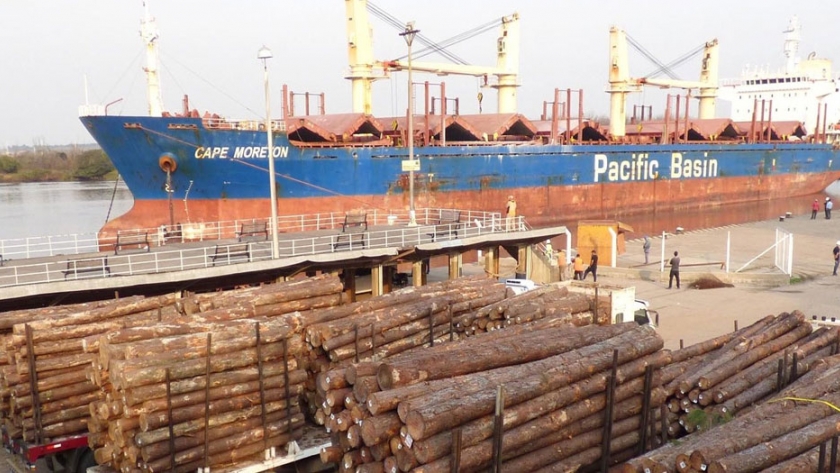 Entre Ríos comenzará a exportar madera a granel a la India y tablas a China