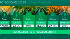 La Bolsa de Cereales analizó el complejo escenario comercial de cara a la campaña 2020-21