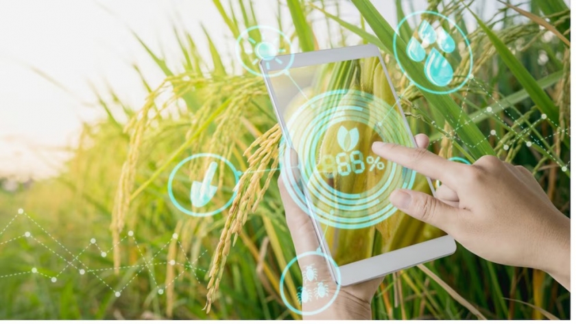 Cultivos con cerebro digital: así revoluciona la IA el riego en los invernaderos patagónicos