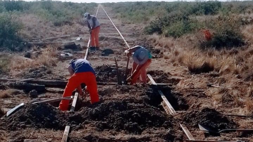 Tren patagónico: Se reanuda el servicio entre San Antonio y Bariloche