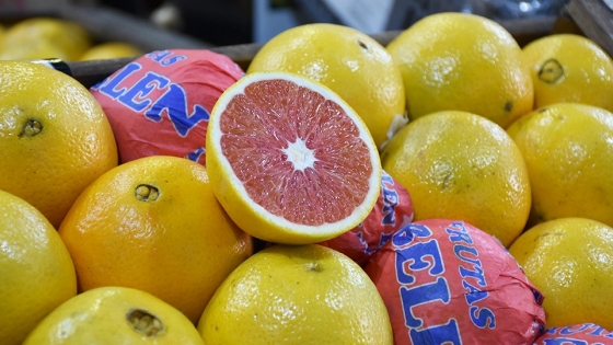 Un cítrico especial – Naranja Roja