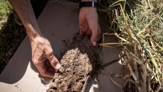 Bayer Forward Farming suma un nuevo establecimiento en Argentina