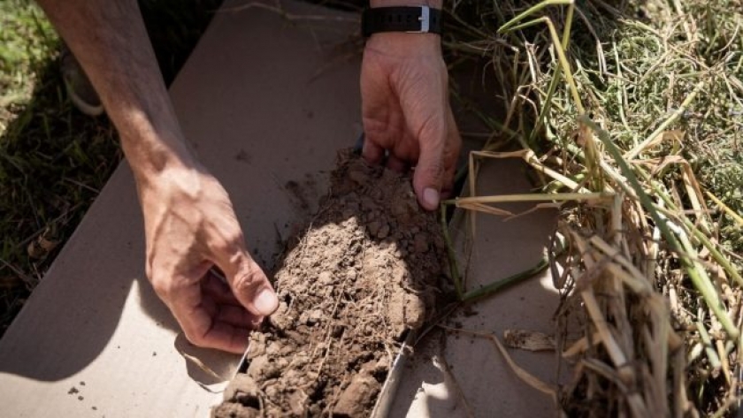 Bayer Forward Farming suma un nuevo establecimiento en Argentina