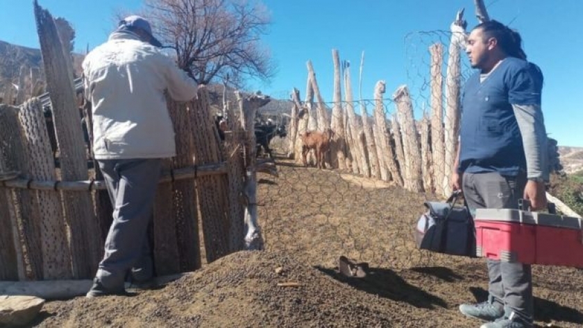 Capacitan a pequeños productores en Payogasta