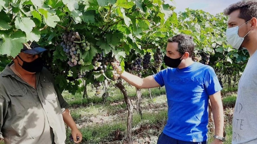 El ministro de Agricultura y Ganadería en Tinogasta