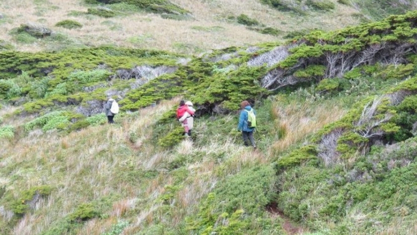 Se extiende la convocatoria a planes de manejo y conservación de bosques nativos