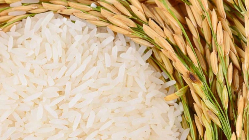 1° encuentro técnico virtual del cultivo de arroz en el nordeste argentino @rroceros en línea