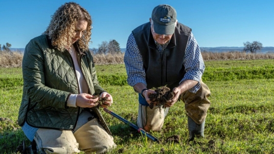 Regenerative organic is not automatic: what it really takes to earn the certification