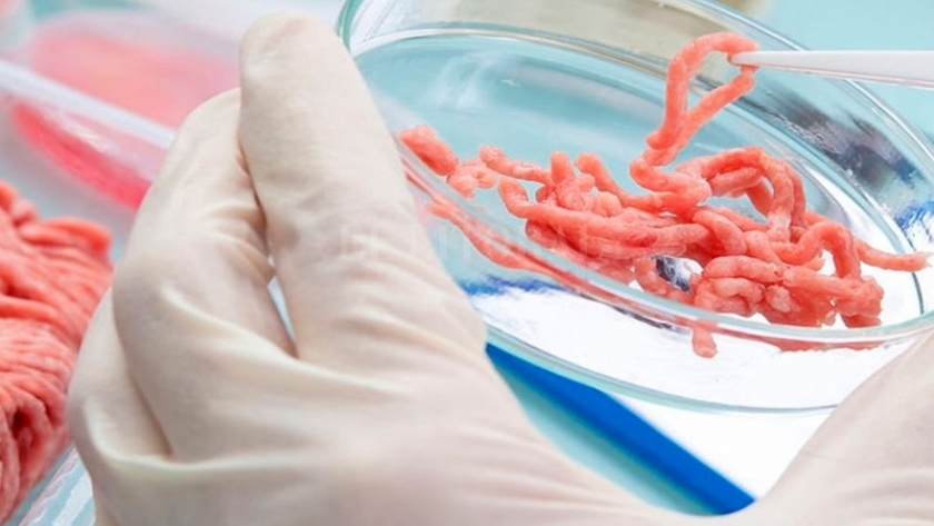 Carne y ambiente, el laboratorio no es una solución