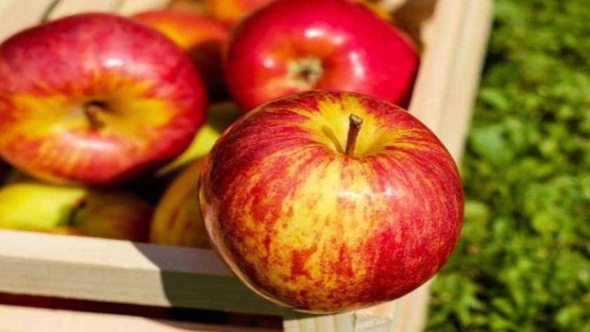 Manzanas: recomendaciones para disfrutarlas todo el año