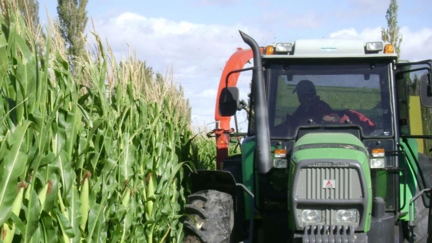 El Ministerio de Agricultura, Ganadería, Industria y Comercio acerca recomendaciones al sector agrícola del Chubut