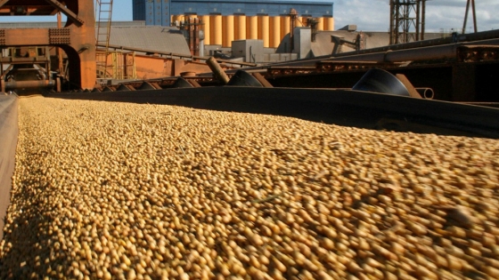 Rentabilidad en jaque: cómo los costos y precios comprometen el negocio agrícola