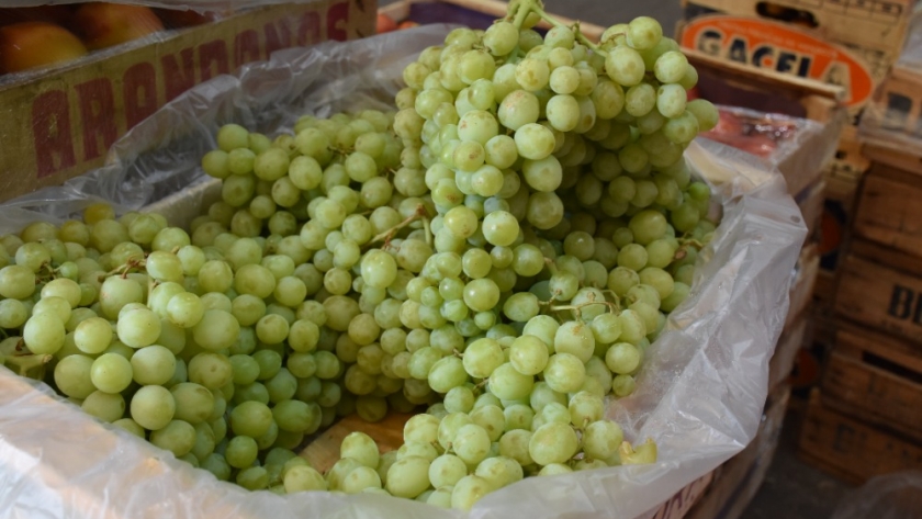 La UVA más dulce se acerca