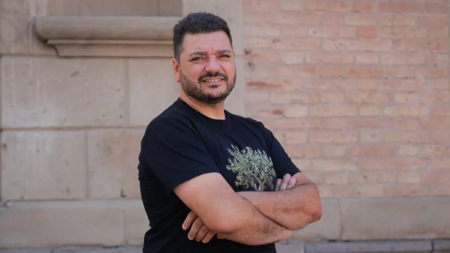 De olivos olvidados a Mendoza como capital del aceite