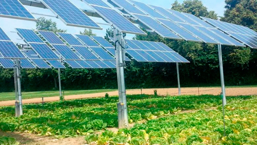 La energía solar, los cultivos y el ganado trabajan juntos