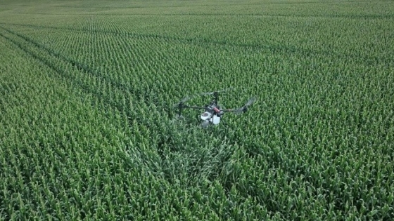 CASAFE presenta recomendaciones para pulverizar con drones
