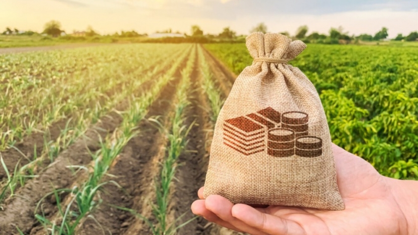Mayor participación estatal en la renta agrícola