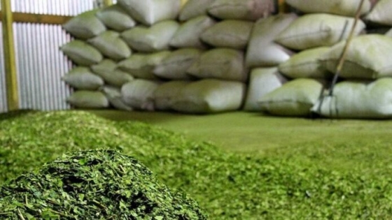 Las exportaciones de yerba mate crecieron un 14,5% entre enero y mayo